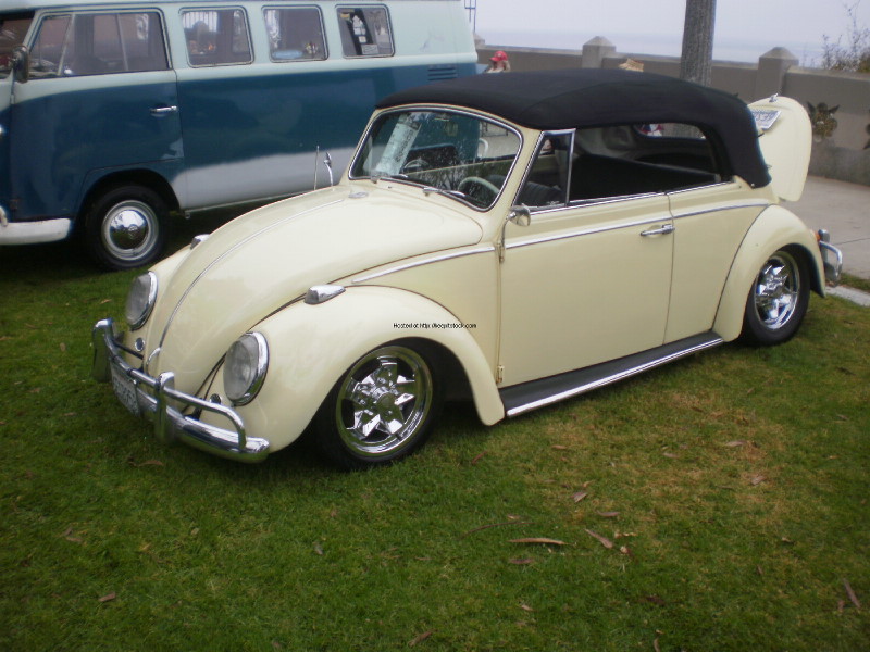 Summer Jam 2010 019.jpg