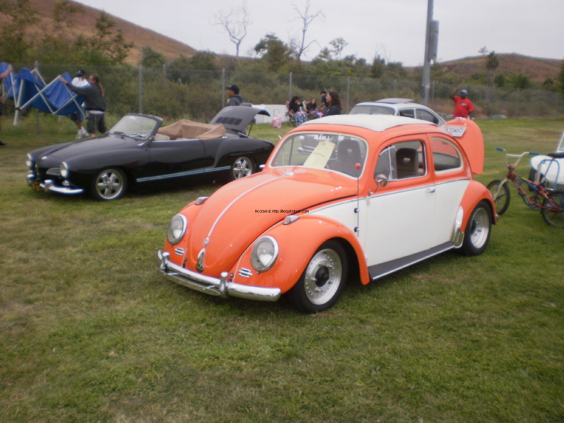 VW Jamboree 8-2010 014.jpg