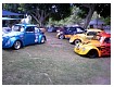 VWJamboree82010034.jpg