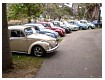 VWJamboree82010041.jpg