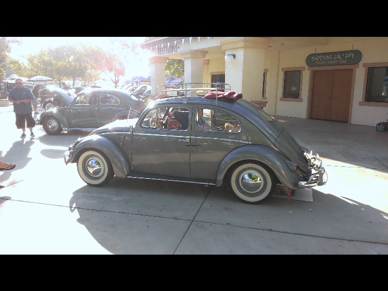 IMAG0124.jpg