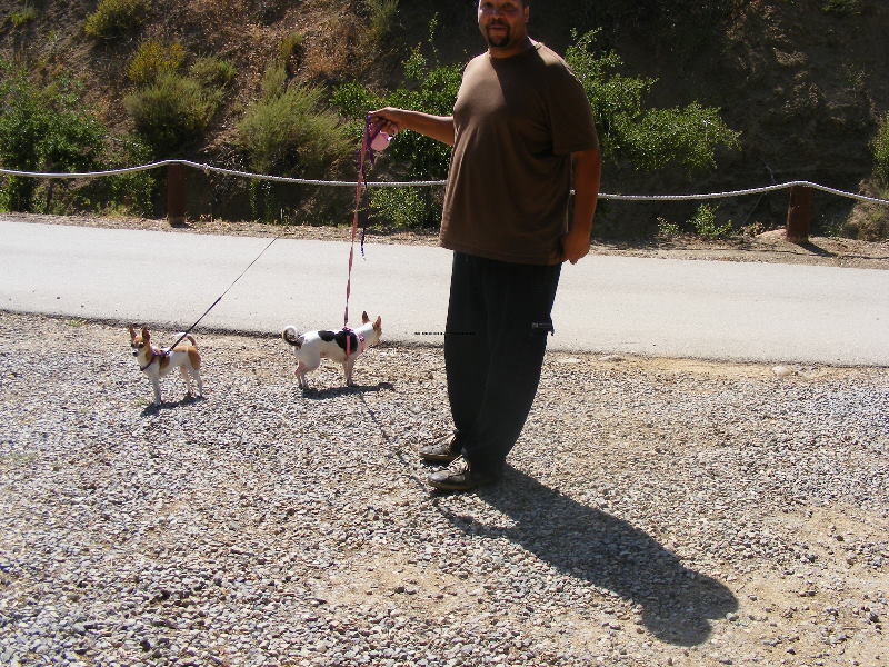 blackstar08 111.jpg