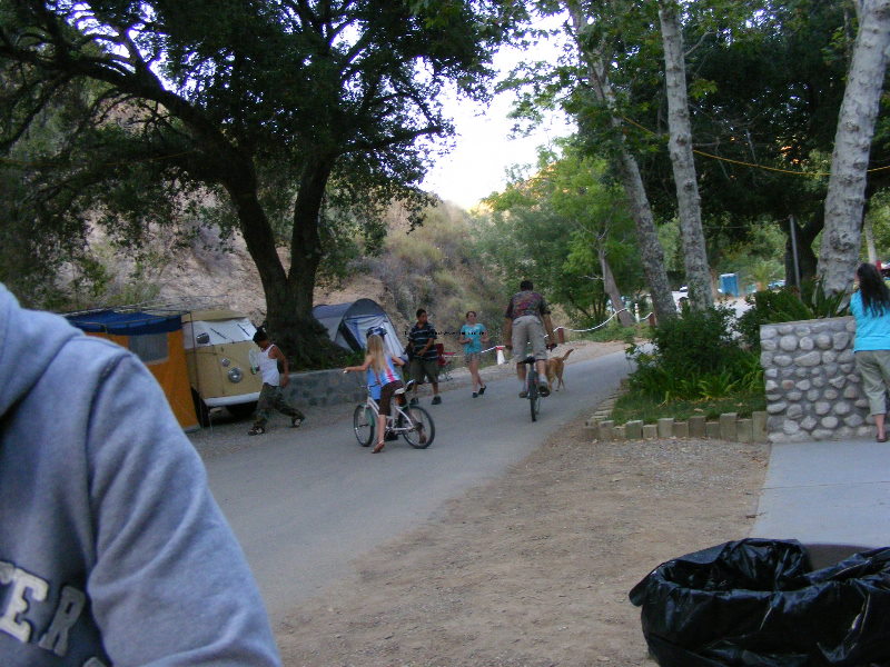 blackstar08 244.jpg