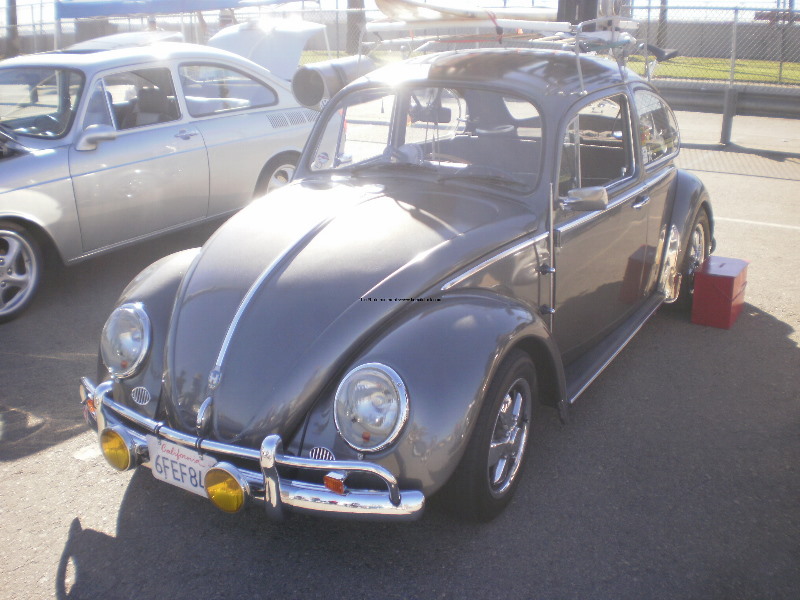 Bug O Rama 11-1-09 022.jpg