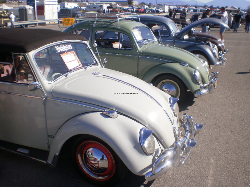 Bug O Rama 11-1-09 023.jpg