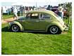 BugsBusesByTheRiver2007039.jpg