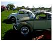BugsBusesByTheRiver2007040.jpg
