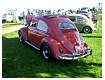 BugsBusesByTheRiver2007041.jpg