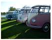 BugsBusesByTheRiver2007052.jpg