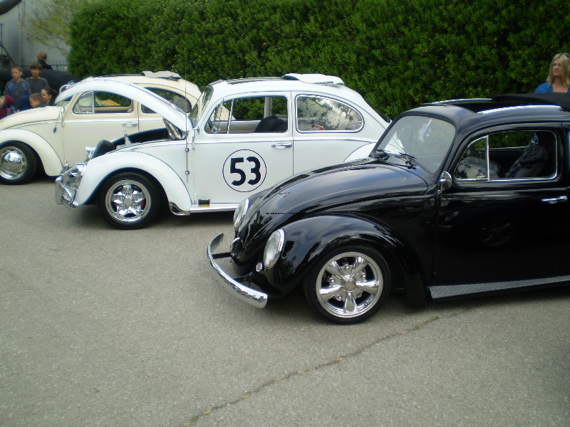 Bugs&Buses Invade 08 048.jpg