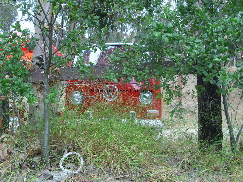 DSCI1687.jpg