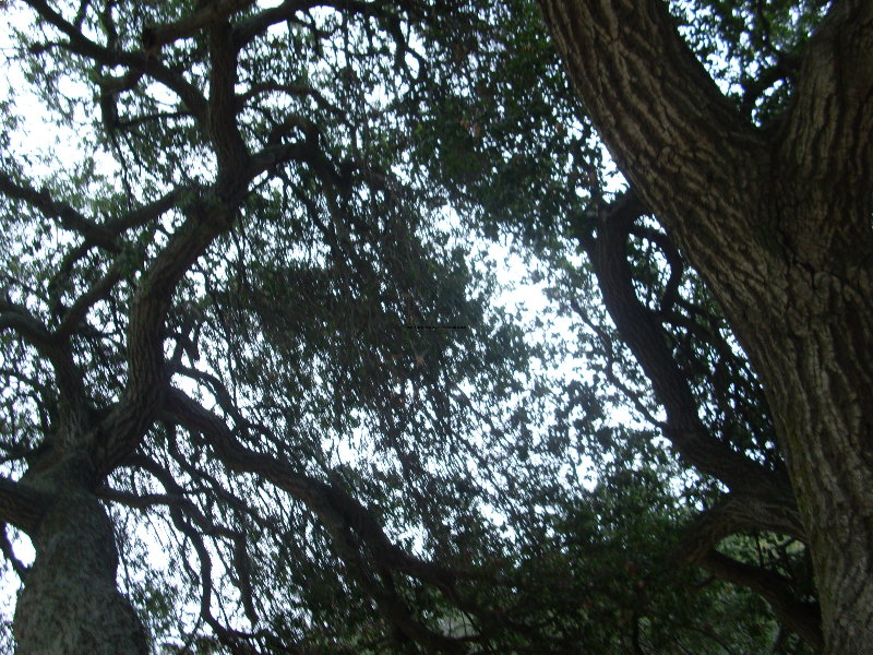 DSCI2106.jpg