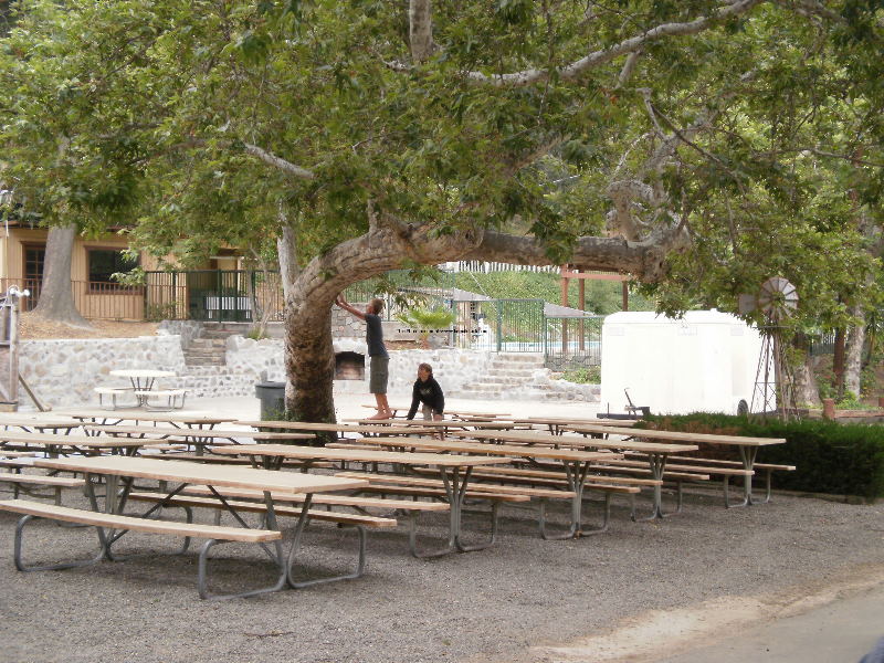 Blackstar 2009 023.jpg