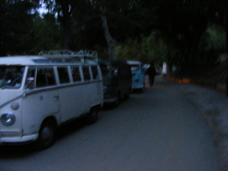 octojune09003.jpg