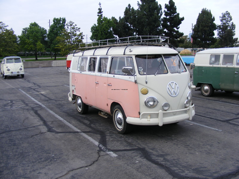 octojune09024.jpg