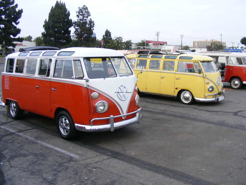 octojune09029.jpg
