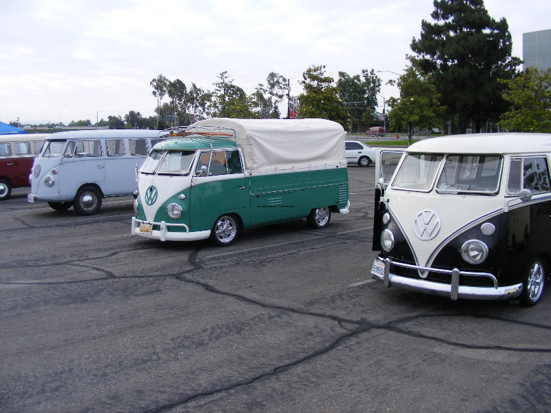 octojune09056.jpg