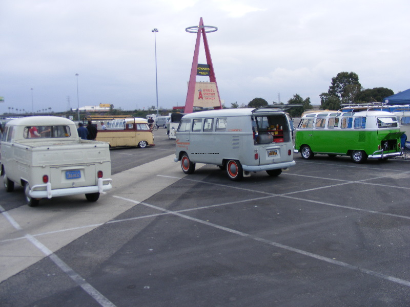 octojune09089.jpg