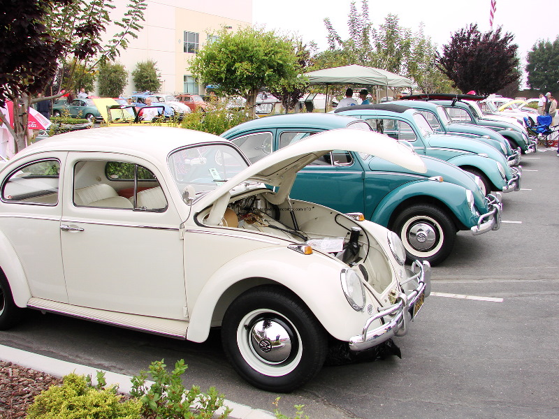 vwshowWW 050.jpg