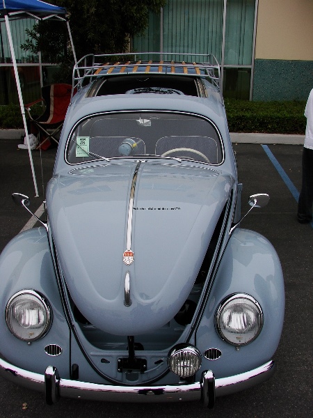 vwshowWW 100.jpg