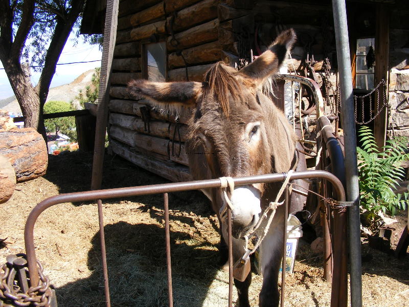 Jerome08 075.jpg
