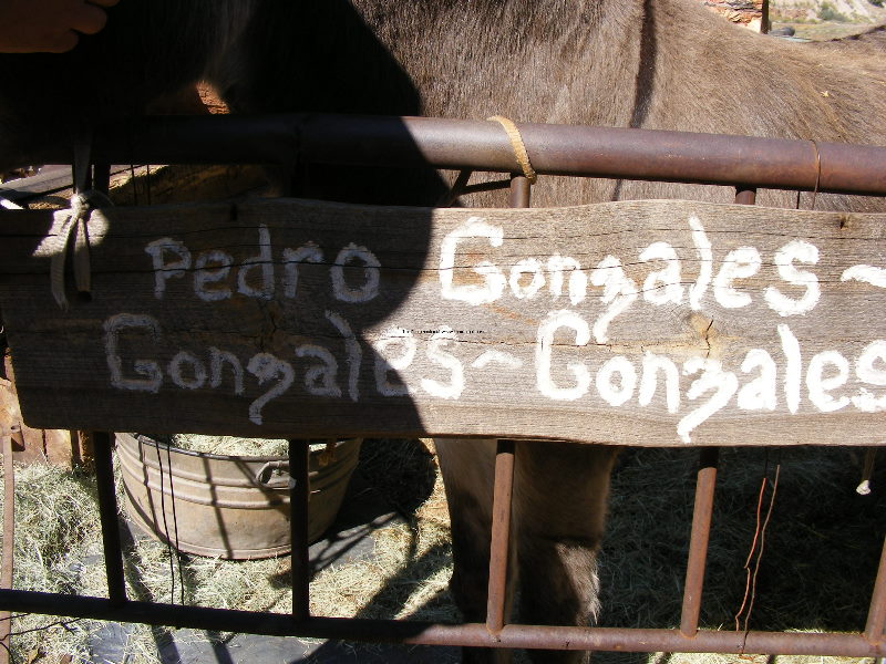 Jerome08 077.jpg