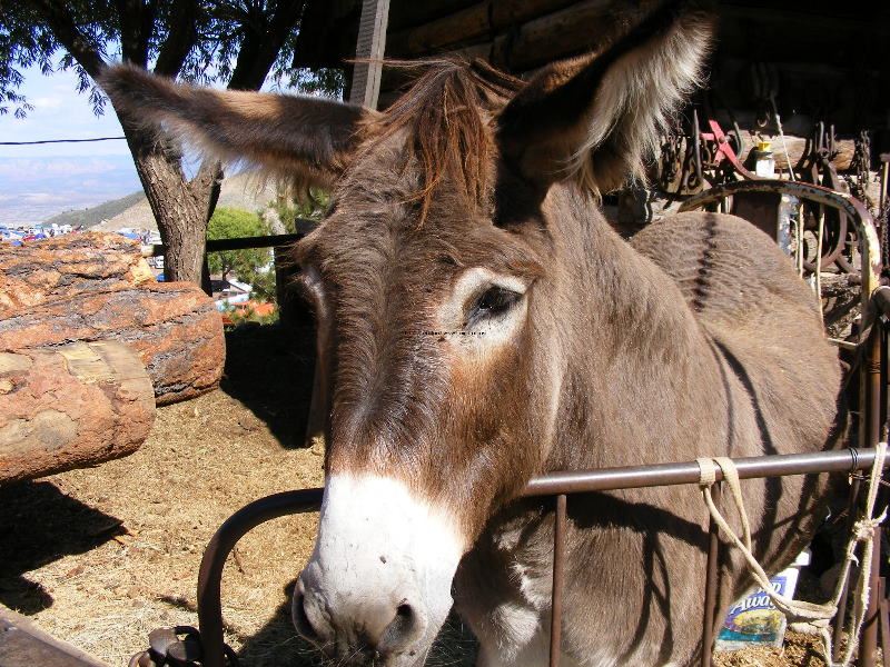 Jerome08 087.jpg
