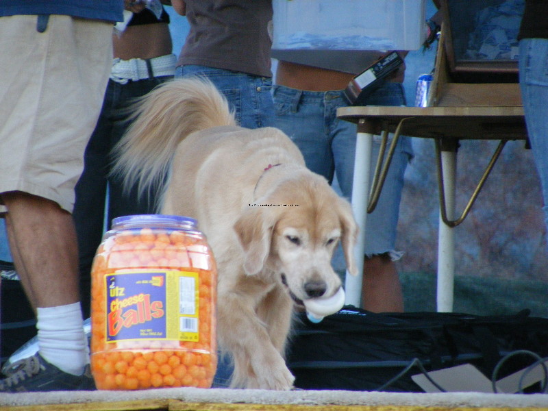 Jerome08 200.jpg