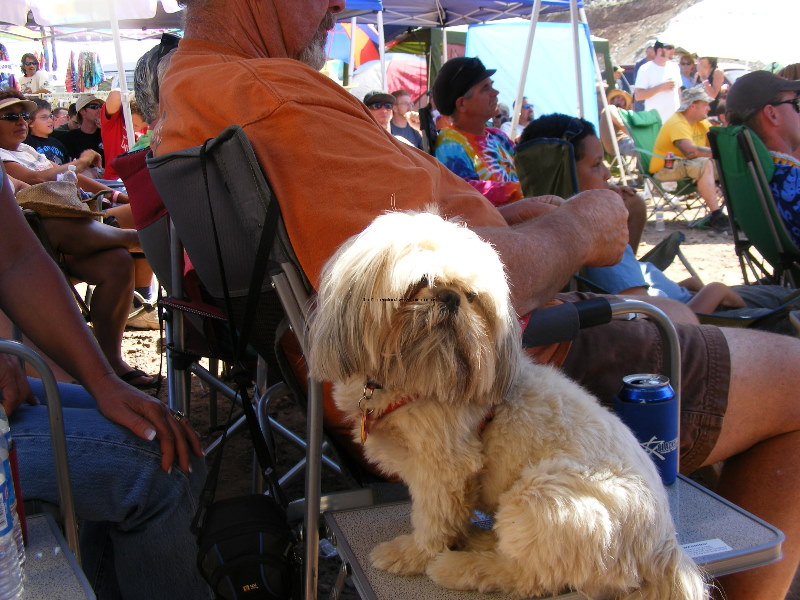 Jerome08 290.jpg
