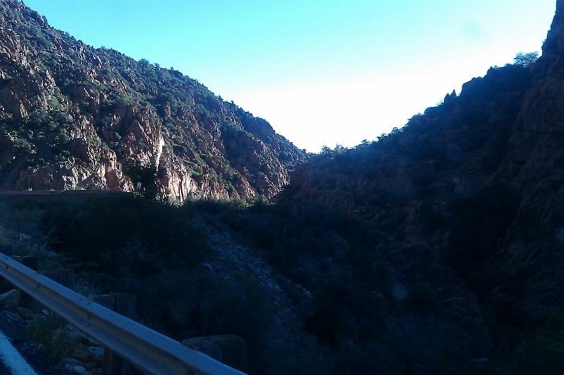 IMAG0251.jpg