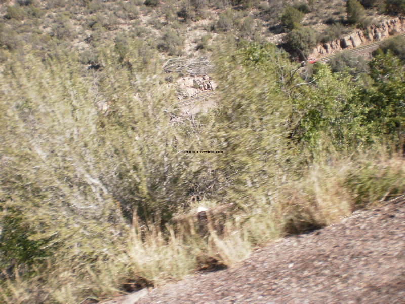 Jerome Jam 09 087.jpg