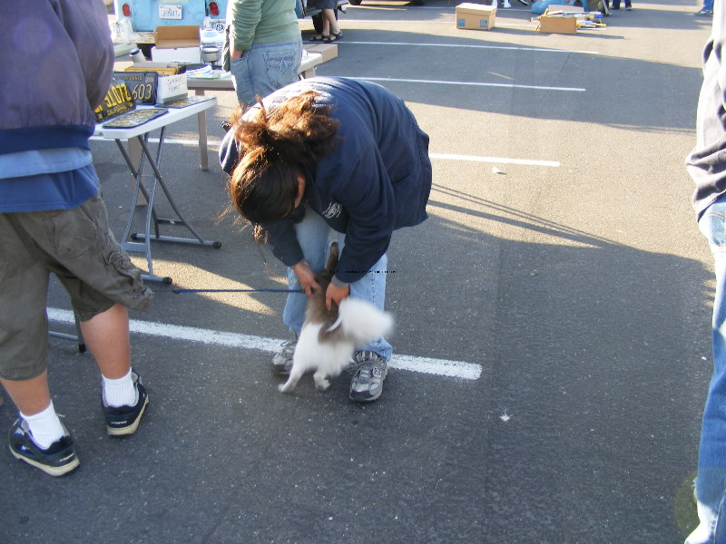 Dasoctofest08 096.jpg