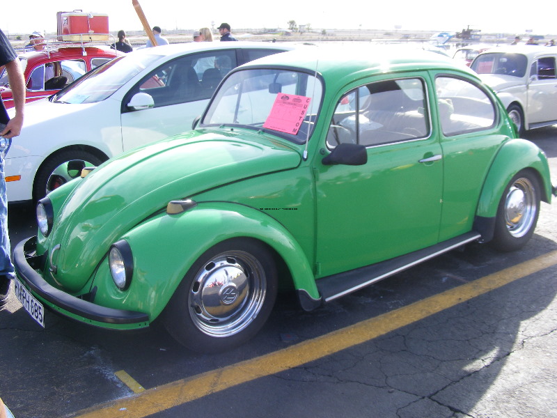 Bug-O-Rama 003.jpg