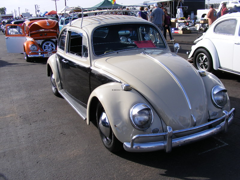 Bug-O-Rama 010.jpg