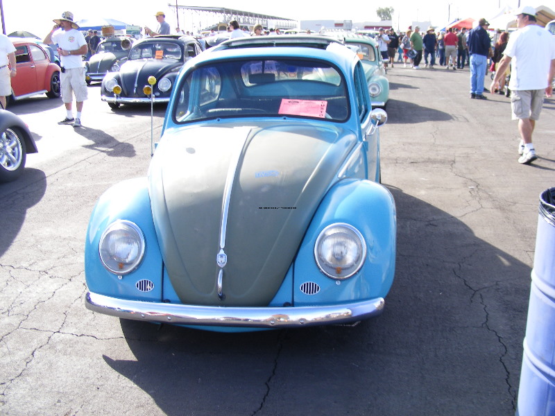 Bug-O-Rama 013.jpg