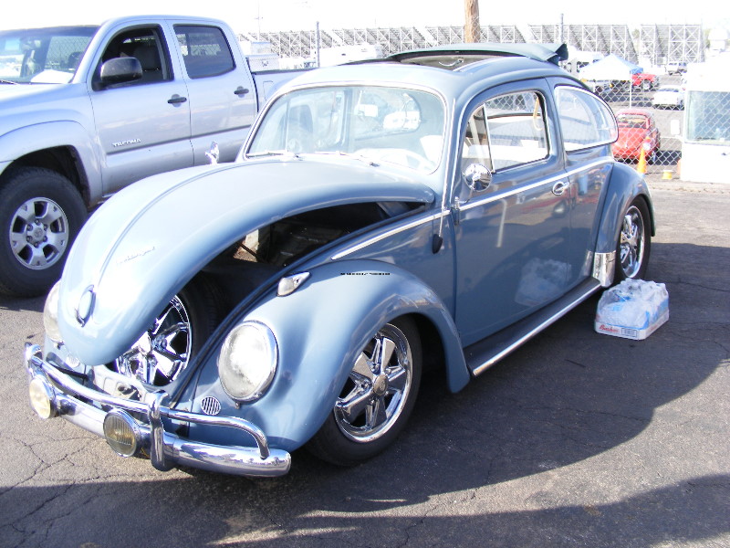 Bug-O-Rama 019.jpg
