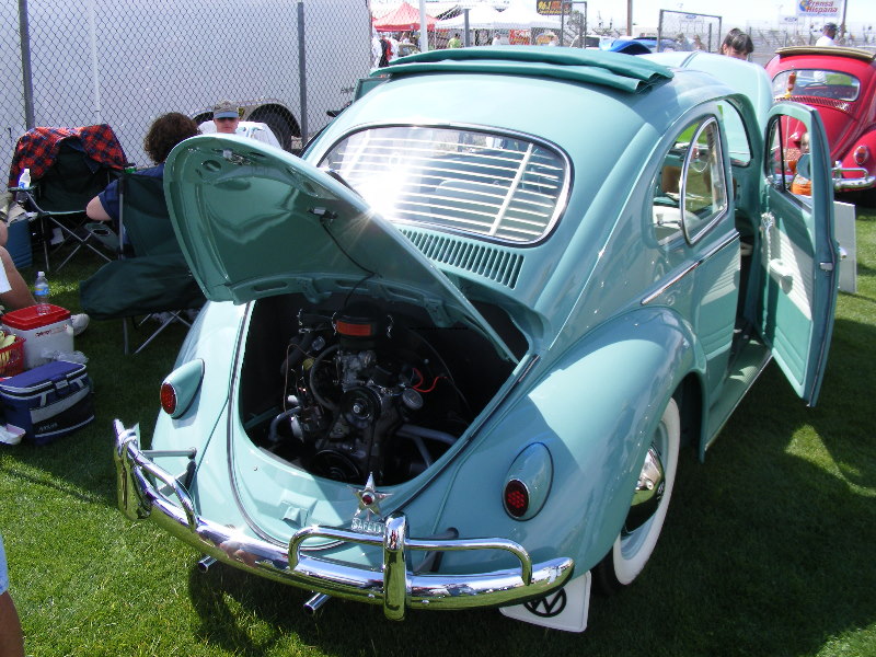 Bug-O-Rama 110.jpg