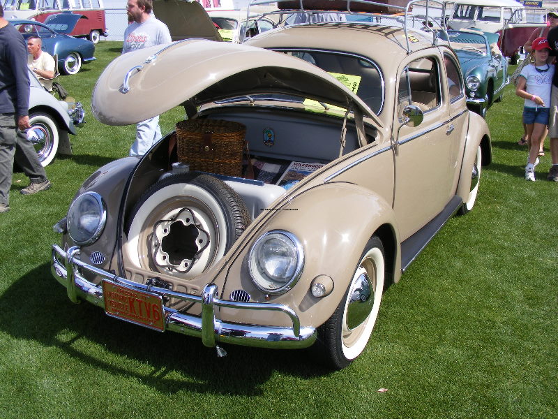 Bug-O-Rama 115.jpg