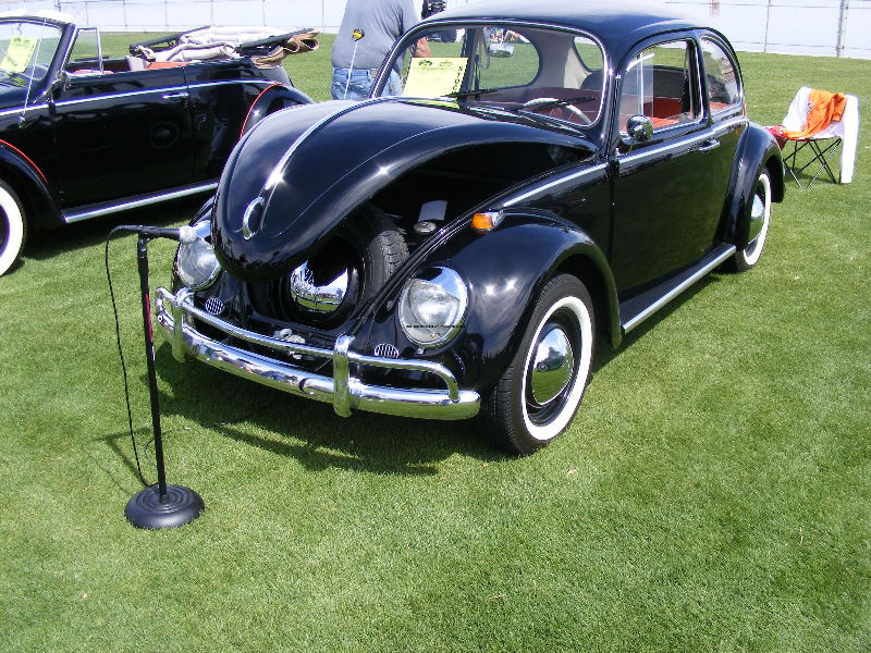 Bug-O-Rama 117.jpg