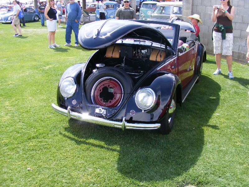 Bug-O-Rama 121.jpg