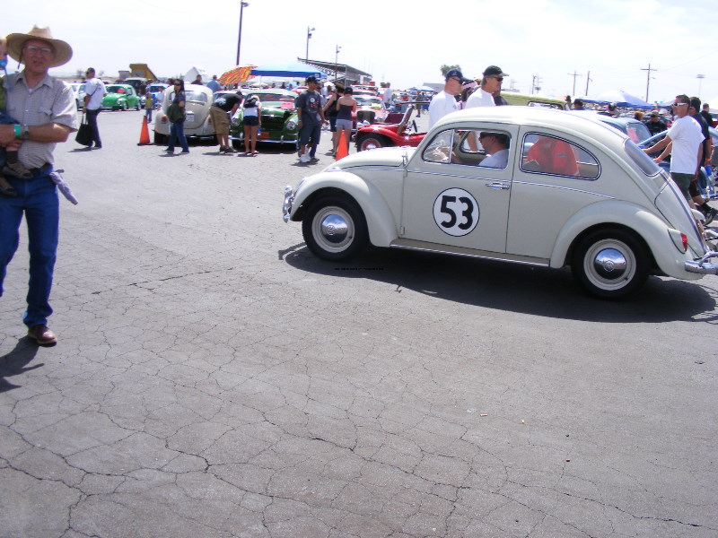 Bug-O-Rama 133.jpg