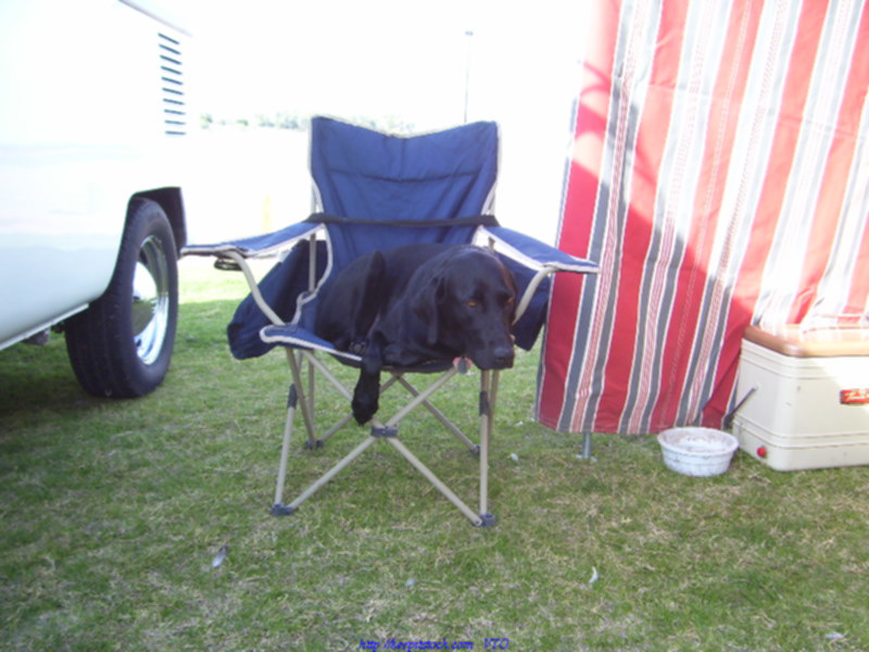 VW's By The River 2006 063.jpg