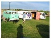 busesbytheriver2006162.jpg