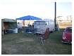 YumaShow1109004.jpg