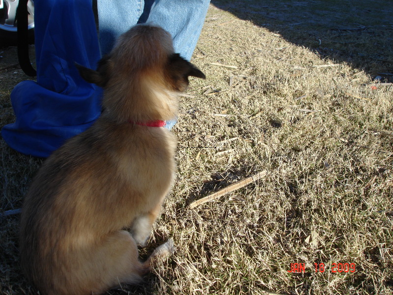 BBB2009 100.jpg