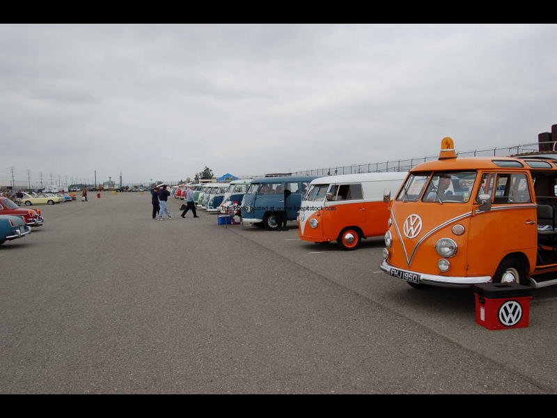DSC_01290129.jpg