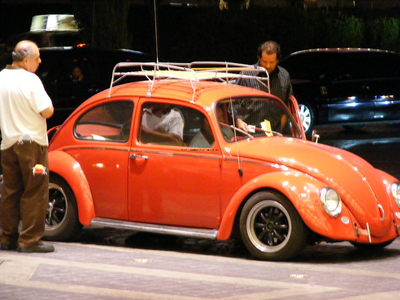Bug-o-rama 005.jpg
