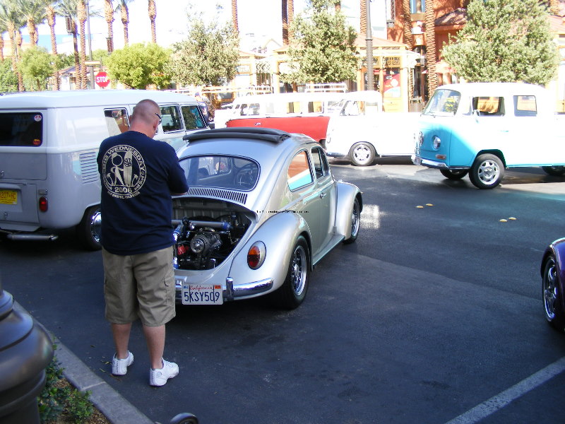 Bug-o-rama 029.jpg