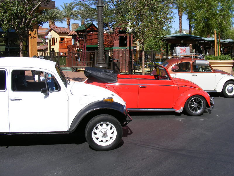 Bug-o-rama 036.jpg