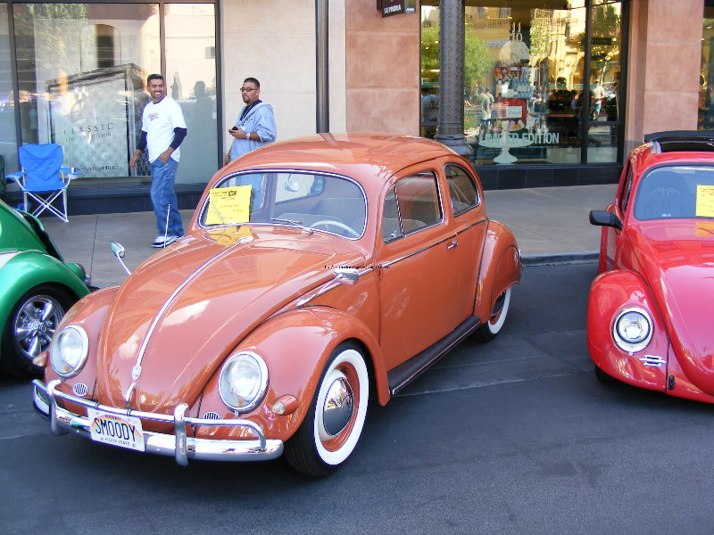 Bug-o-rama 041.jpg